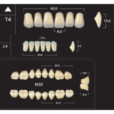 Зубы акриловые двухслойные GLORIA New Ace & Naperce, полный гарнитур T4 M30