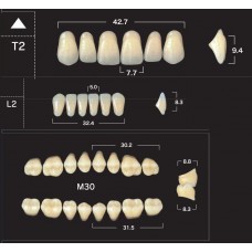 Зубы акриловые двухслойные GLORIA New Ace & Naperce, полный гарнитур T2 M30